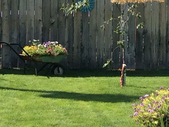 3rd image of 515 19th Ave S