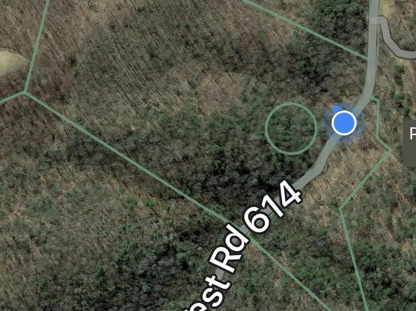 12.93 Ac Forest Service Rd #614, Saltville, VA 24370