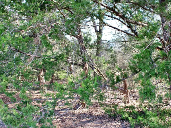 PARCEL 5 Lobo Ln, Columbus, TX 78934