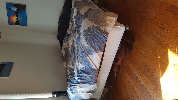 Rented by Chartwell Manhattan Realty | media 10