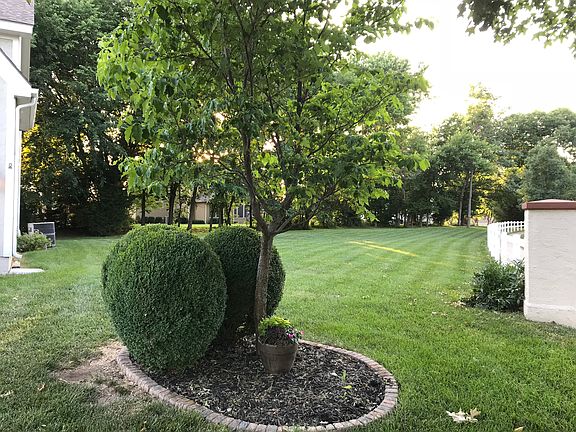 Large Yard