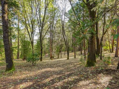 14488 Charden Rd, Nevada City, CA, 95959