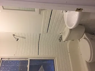 Rented by 1448 Pacific Group, Inc.