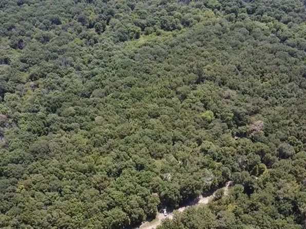113 Triple Creek Rd, Avery, TX 75554