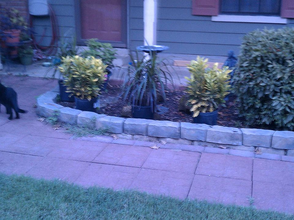 1st image of 6671 Kamali Ave