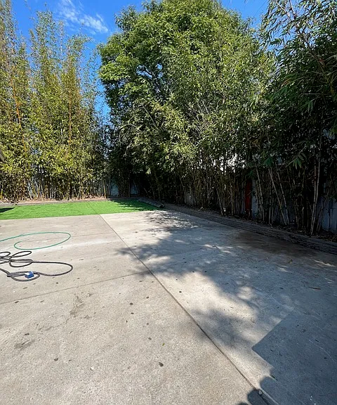 6555 Segovia Rd — Photo 3