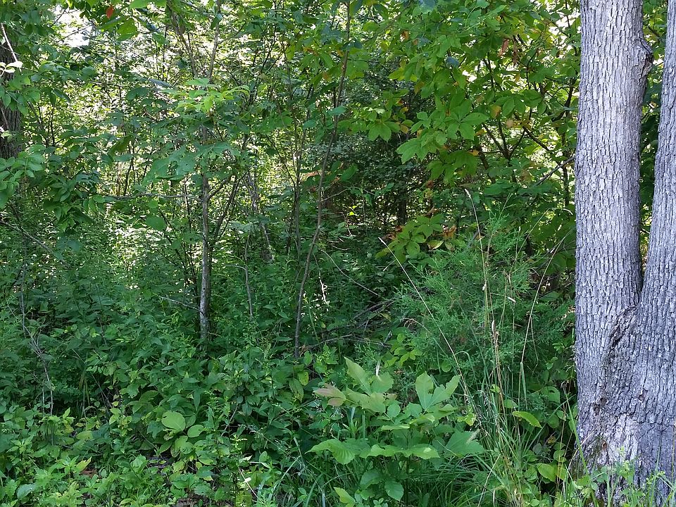 2nd image of 20 Acres Ratterman Road
