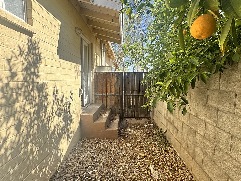 805 E Garfield St #3 — Photo 21