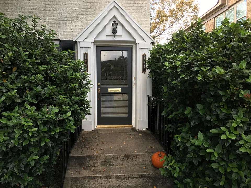 Front Security Door