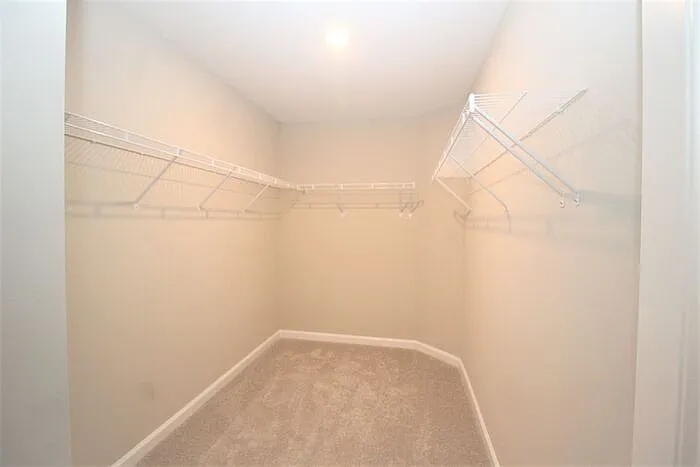 1736 Lansing Bluff Walk — Photo 18