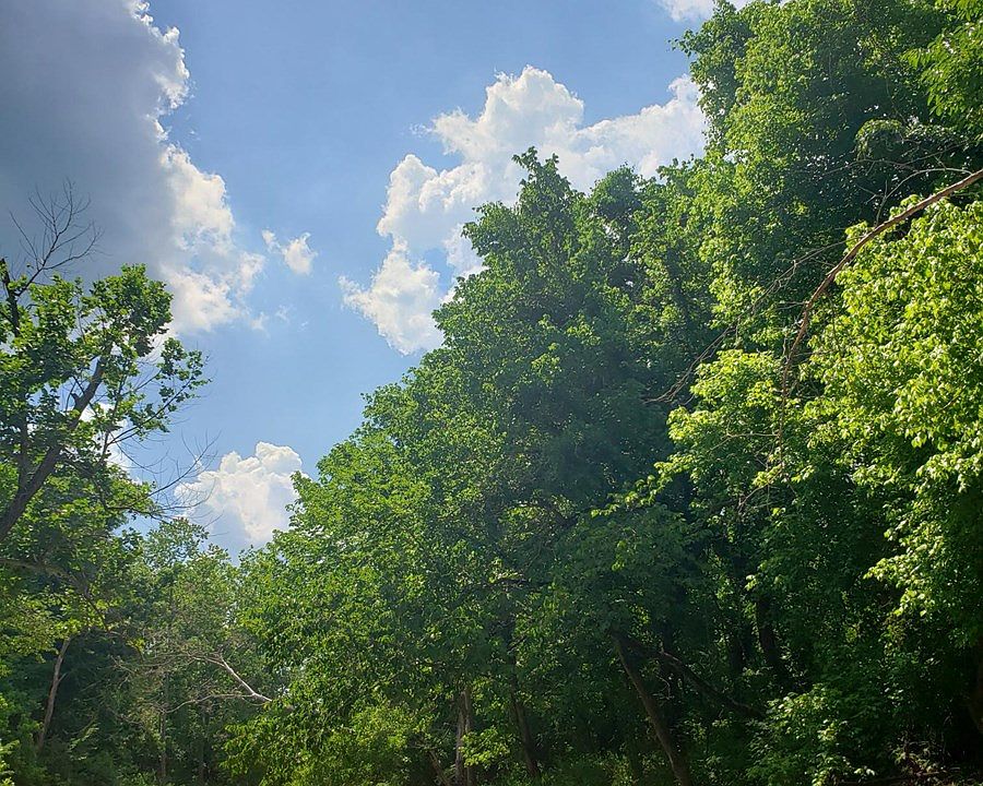 438 Grace Acres Ranch Rd, Caulfield, MO 65626 Zillow