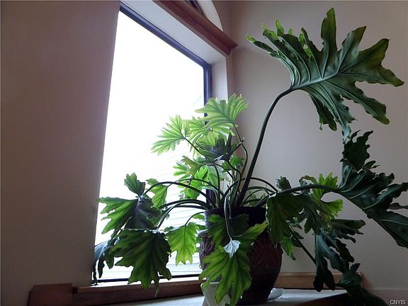 3rd image of 8259 Honeysuckle Dr