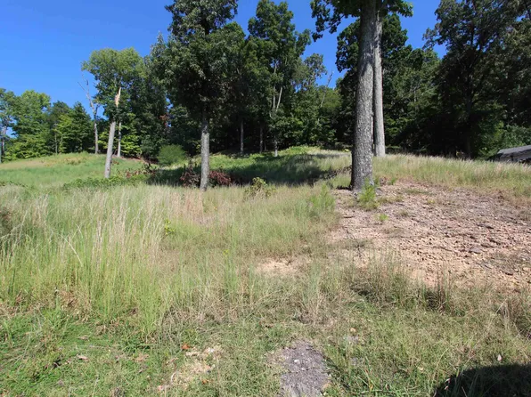 12 Holly Ln, Kuttawa, KY 42055