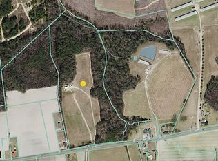 3143 Indian Springs Rd, Seven Springs, NC 28578