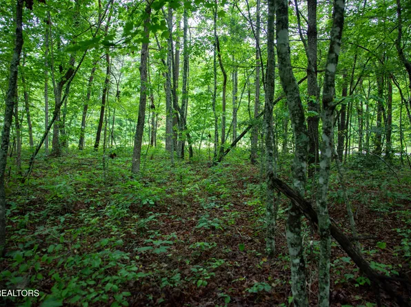 LOT Six Cumberland Lakes Dr, Monterey, TN 38574