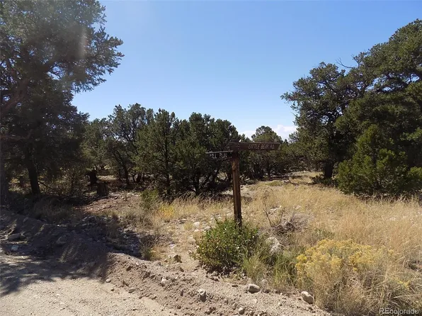 Little Bear Road, Mosca, CO 81146
