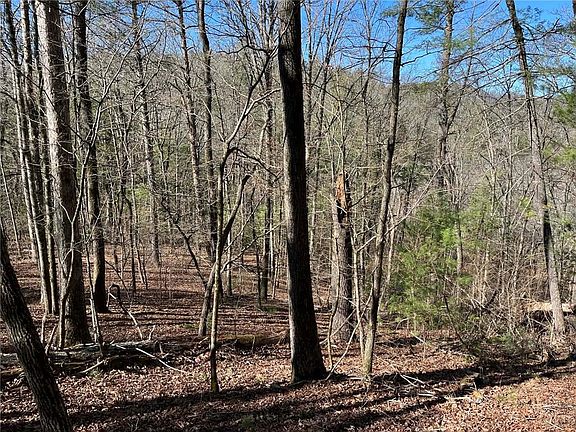 4th image of 1769 Longbranch Dr #1769