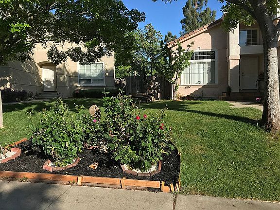 Front yard 