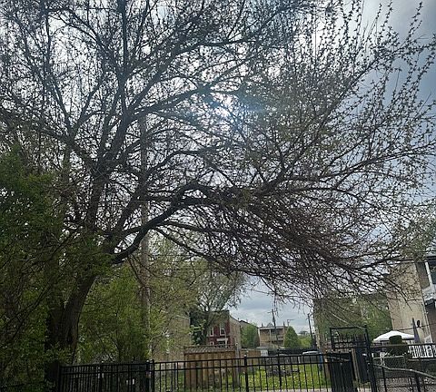 3rd image of 1840 S Sawyer Ave #1
