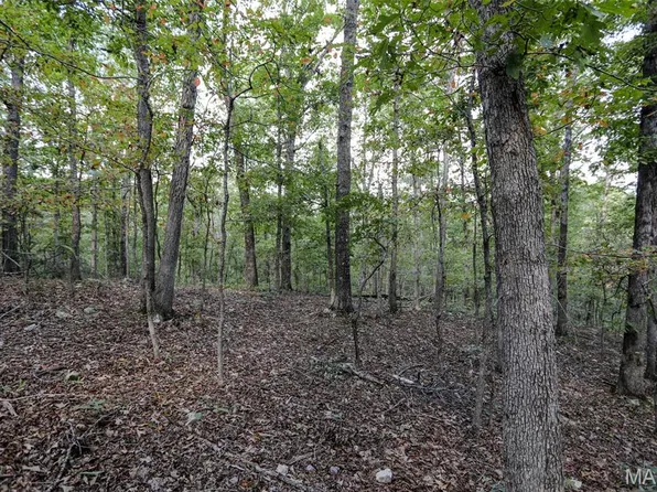 0 County Road 505, Greenville, MO 63944