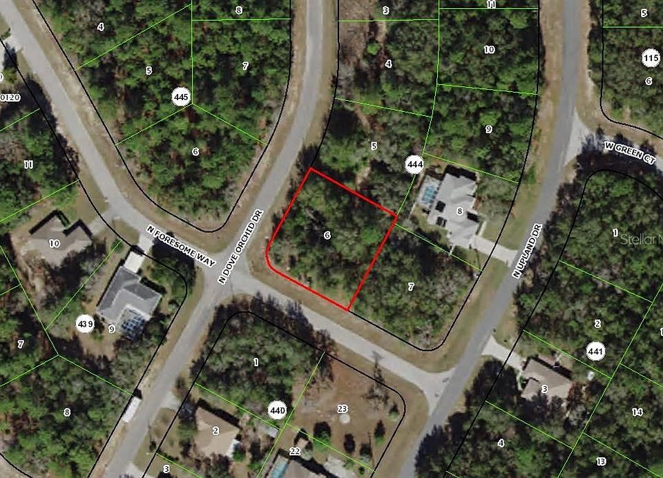 1st image of 8401 N Dove Orchid Dr