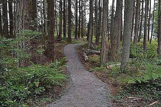 Path to Beach