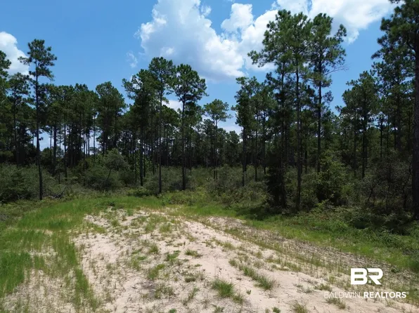 0 Kings Landing Rd, Seminole, AL 36574