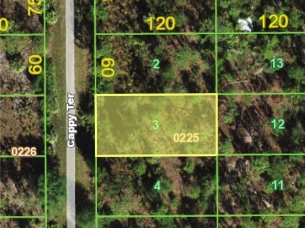 13358 Cappy Ter, Punta Gorda, FL 33955