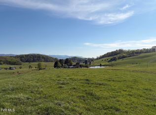 LOT 4 Washington College Rd, Limestone, TN 37681