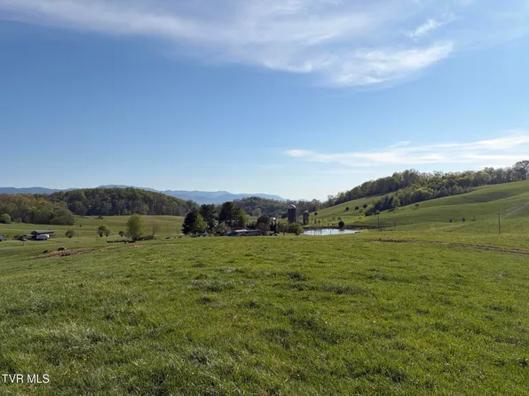 LOT 4 Washington College Rd, Limestone, TN 37681