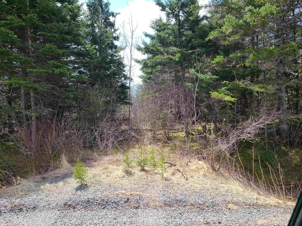 Highway 344, Manassette Lake, NS B0H 1G0