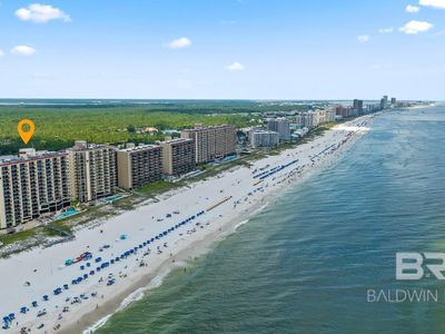 24230 Perdido Beach Blvd APT 3074, Orange Beach, AL, 36561