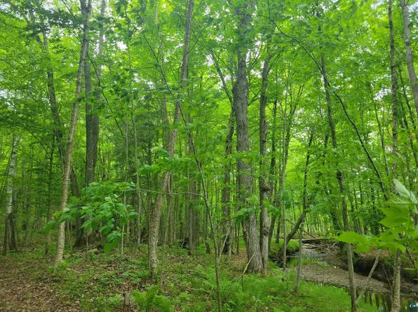Lot 6 Mulligan Lane, Highbridge, WI 54846