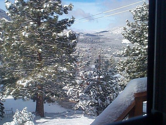 View from Great Room Window