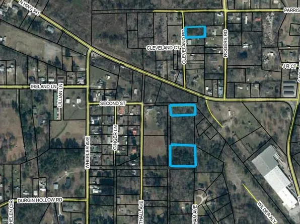 0 Cheatham Ave, Chickamauga, GA 30707