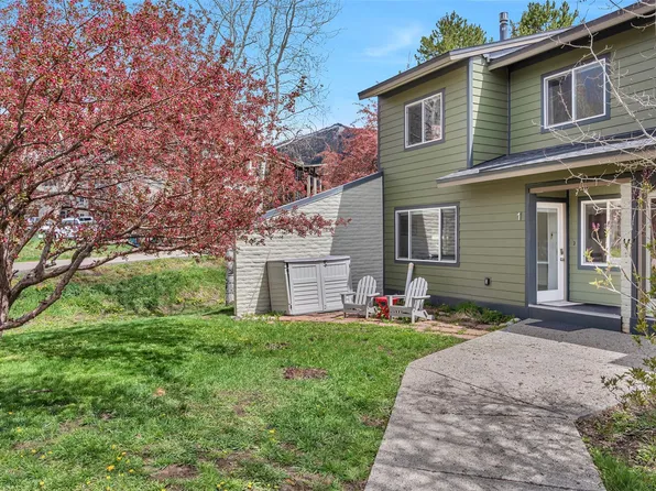 1 Cedar Ct #1, Steamboat Springs, CO 80487