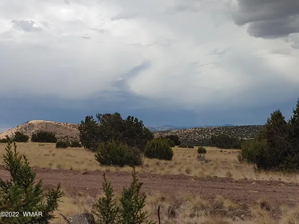 11 County Road 5082 #5A, Concho, AZ 85924