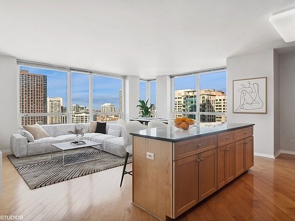 4th image of 33 W Ontario St APT 21G