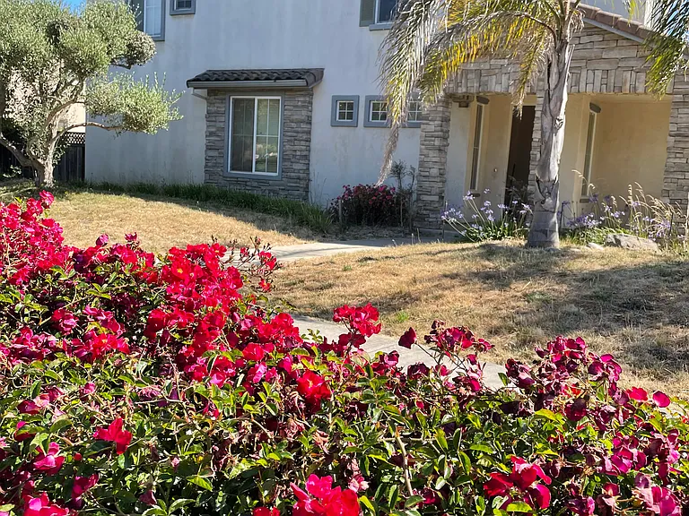 1136 Verona Way — Photo 47