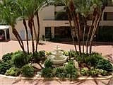 Well Manicured