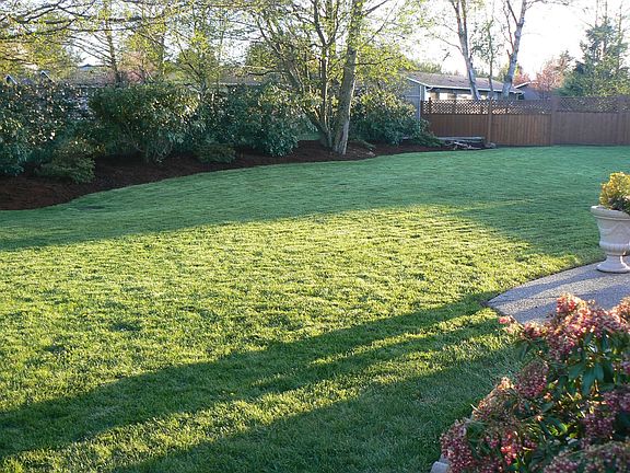 large backyard