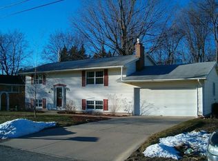 521 Orchard Ave, Clare, MI 48617