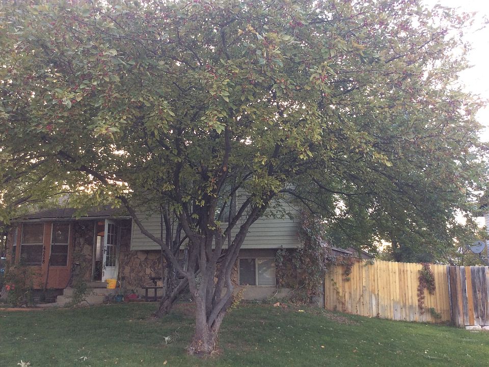 1st image of 4228 S Zeus Dr
