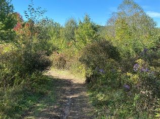 Tyler Hollow Rd, Spencer, NY 14883