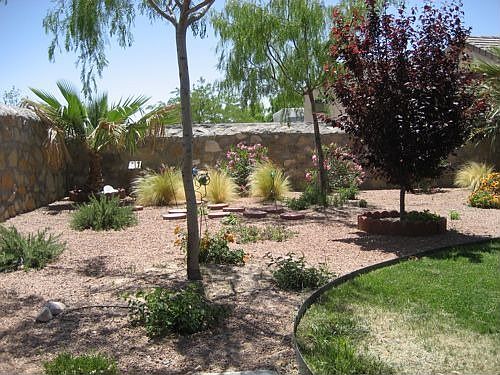 Early Desert Garden