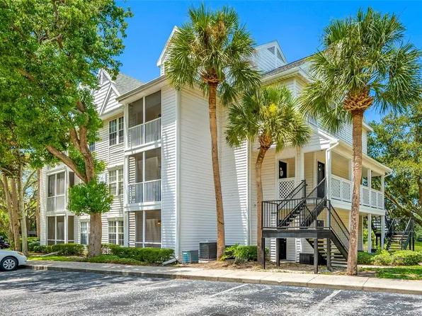 3300 Haviland Ct, Palm Harbor, FL