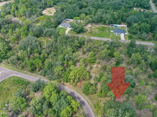 24 Guava Pass Dr, Ocklawaha, FL 32179