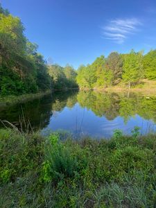 Approx County Rd #67, Midland City, AL, 36350