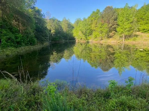 Approx County Rd #67, Midland City, AL 36350