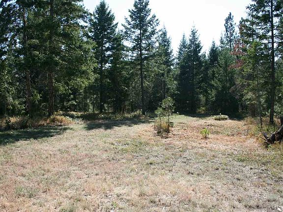 5th image of 4867 Forest Haven Way